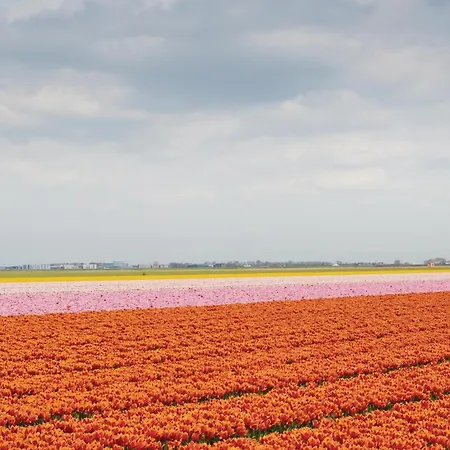 度假居 2 Bedroom Lovely In *